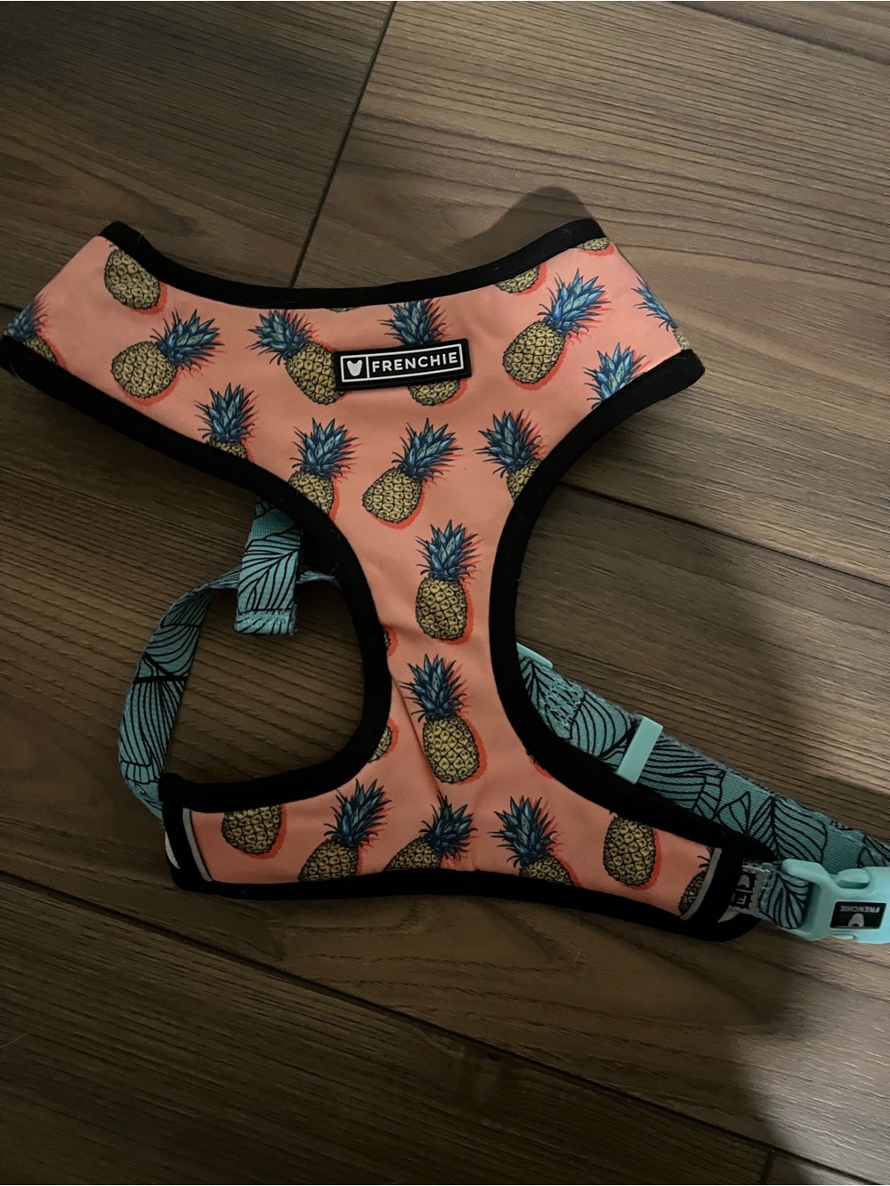 Frenchi Kids Pineapple Swim Harness - Coral size XL
